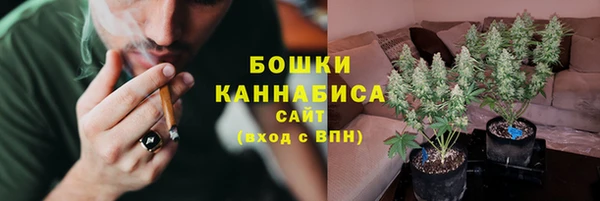 spice Богородск