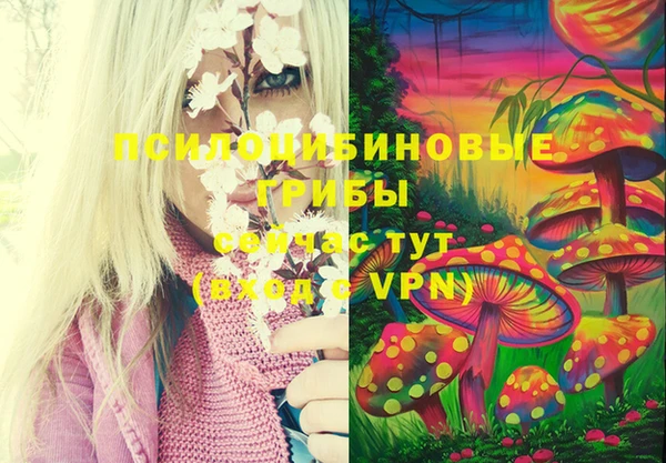 кокс Богданович