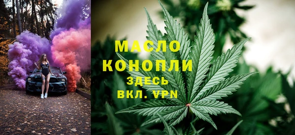 spice Богородск