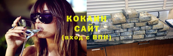 spice Богородск