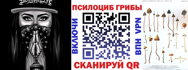 наркошоп  Волжск  Галлюциногенные грибы Psilocybine cubensis 