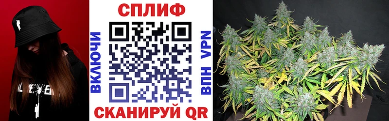 продажа наркотиков  Волжск  Бошки Шишки марихуана 